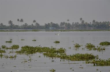 Houseboat-Tour from Alleppey to Kollam_DSC6421_H600